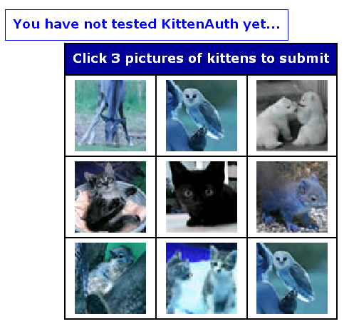 kittenauth.png