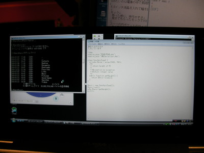 vaio-type-p-widescreen-for-programming.jpg