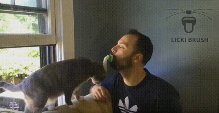licki-brush-1