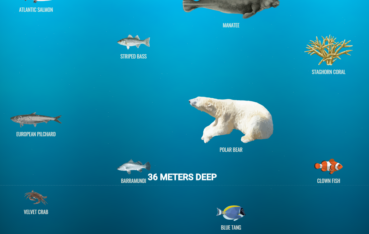 The Deep Sea 深海の深さをブラウザの縦スクロールで表現 秋元 サイボウズラボ プログラマー ブログ