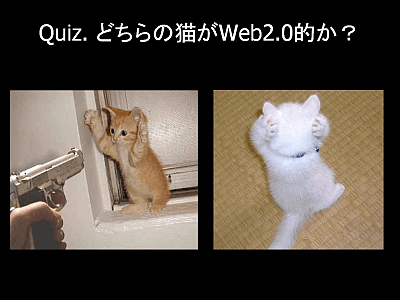 Quiz. どちらの猫がWeb2.0的か？